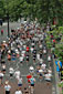 Click for a larger picture.