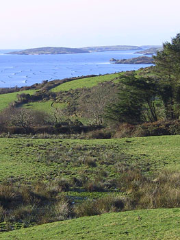 View along the coast