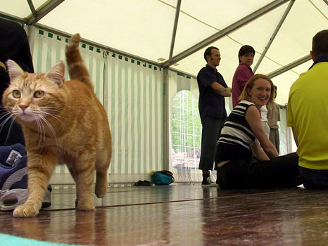 Hep Cat' in the Marquee