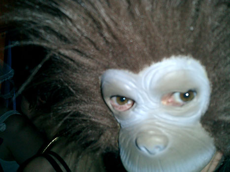 Cheeky Monkey (Jo)