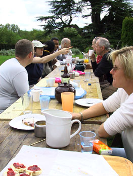 Lunch on the lawn