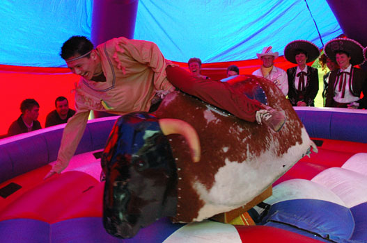 Rodeo Bull - Daniel