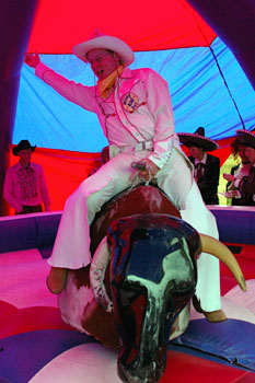 Rodeo Bull - Peter