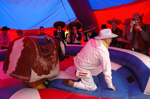 Rodeo Bull - Peter