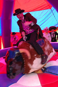 Rodeo Bull - Andrew