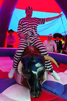 Rodeo Bull - Henric