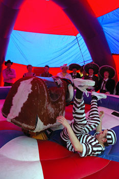 Rodeo Bull - Henric