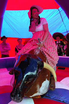 Rodeo Bull - Mel