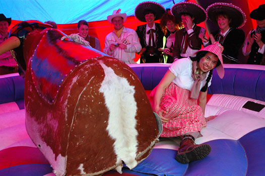 Rodeo Bull - Mel