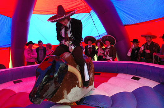 Rodeo Bull - Jean