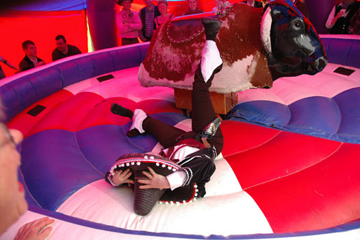 Rodeo Bull - Jean