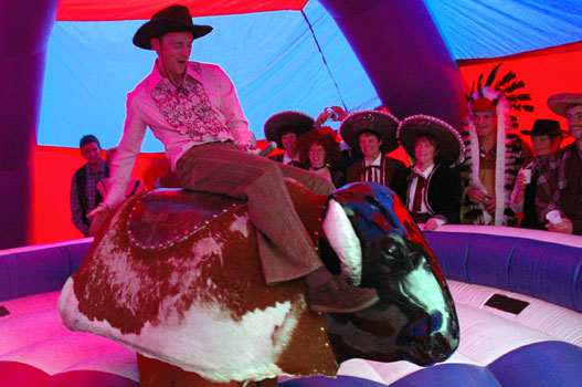 Rodeo Bull - Barry