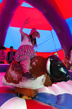 Rodeo Bull - Raven