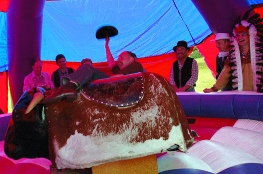 Rodeo Bull - Francois