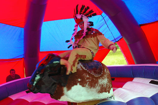 Rodeo Bull - Matthew
