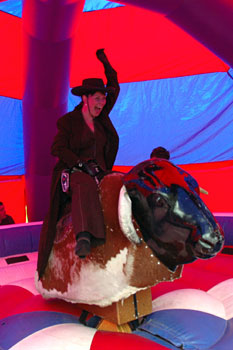 Rodeo Bull - Nicki