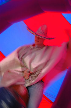 Rodeo Bull - Skye
